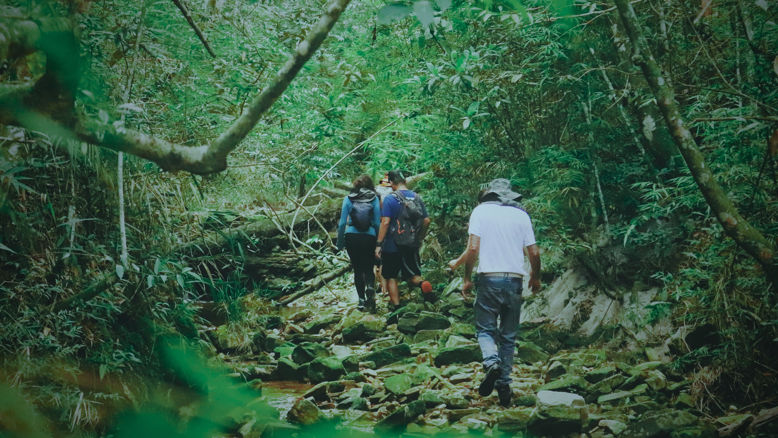 Pekoe Trail Hiking Experience