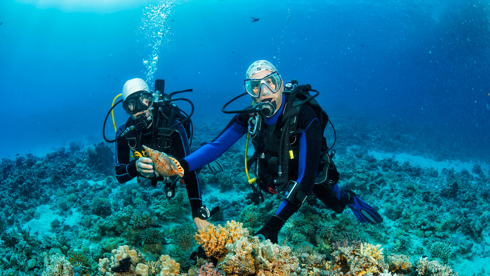 Pigeon Island Marine Adventure