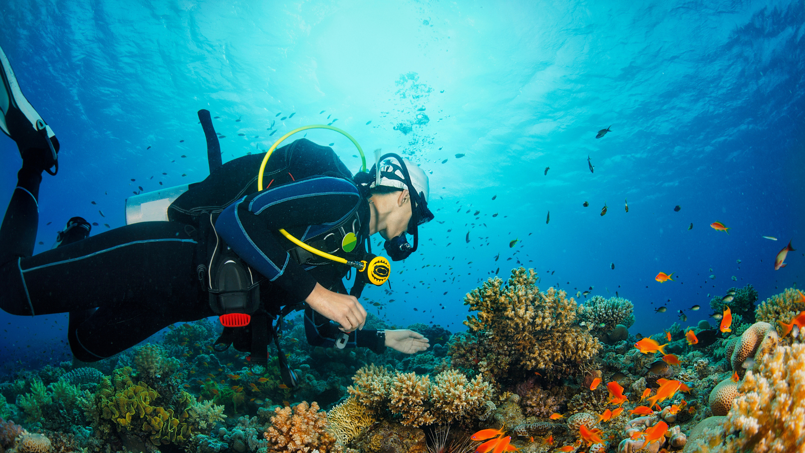 Scuba Diving Adventure