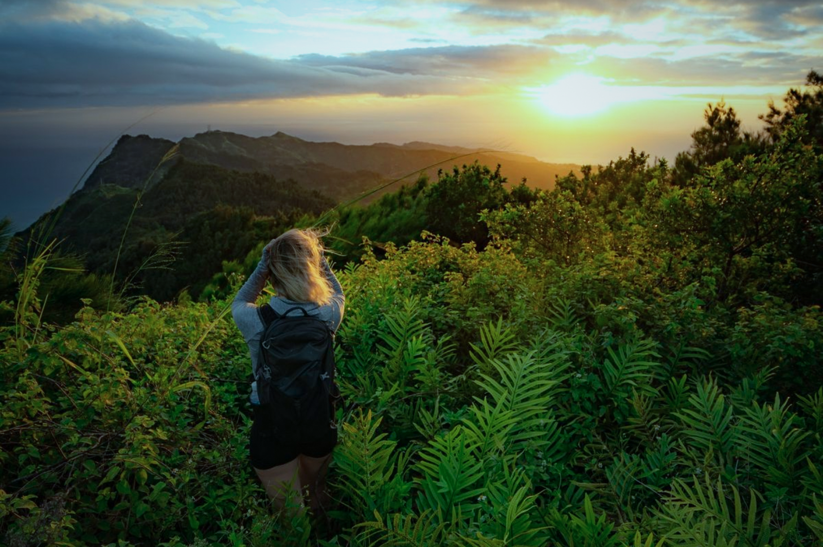 Single Tree Hill Sunrise Hike