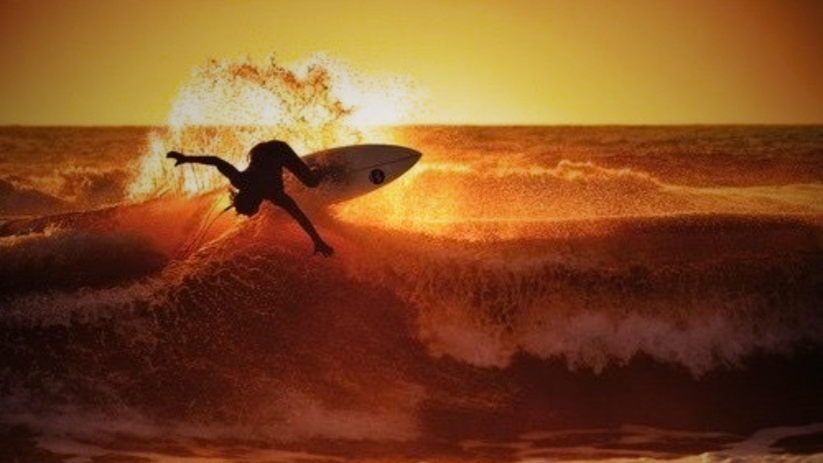 Surfing Experience